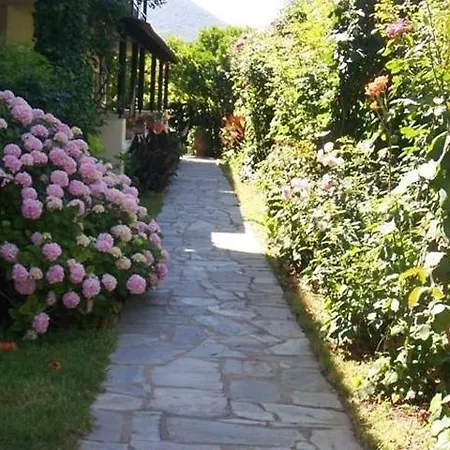 شقة فندقية The Mayflower & مورايتيكا